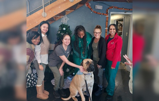 Philadelphia Prisons Collaborate with Comfort Caring Canines to Bring Therapy Dogs to Inmates