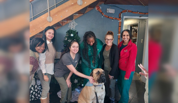 Philadelphia Prisons Collaborate with Comfort Caring Canines to Bring Therapy Dogs to Inmates