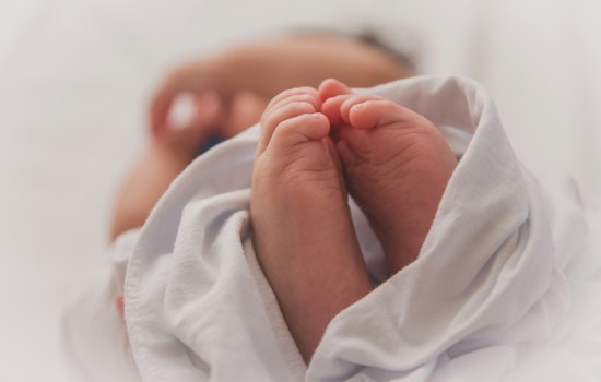 Phoenix Police Rescue Emaciated Newborn After Mother Found Deceased in Apartment