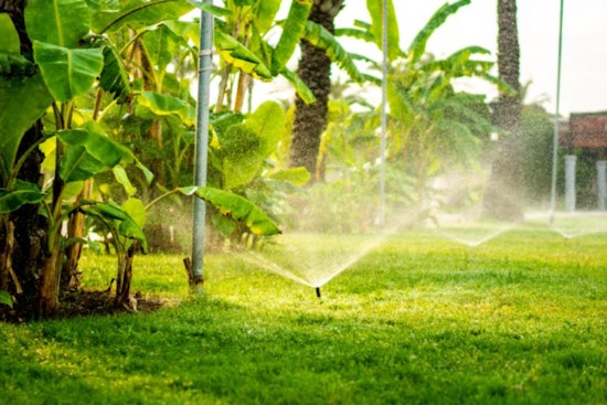 Pinellas County Eases Watering Restrictions for North County Amid Increased Rainfall