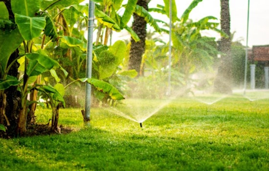 Pinellas County Eases Watering Restrictions for North County Amid Increased Rainfall