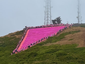 Twin Peaks Pink Triangle Extensively Vandalized & Defaced, Suspect Arrested