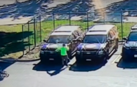 Pittsburg Police Seek Public's Help to Identify Suspect Involved in Vandalism of Patrol Vehicles on Davi Avenue