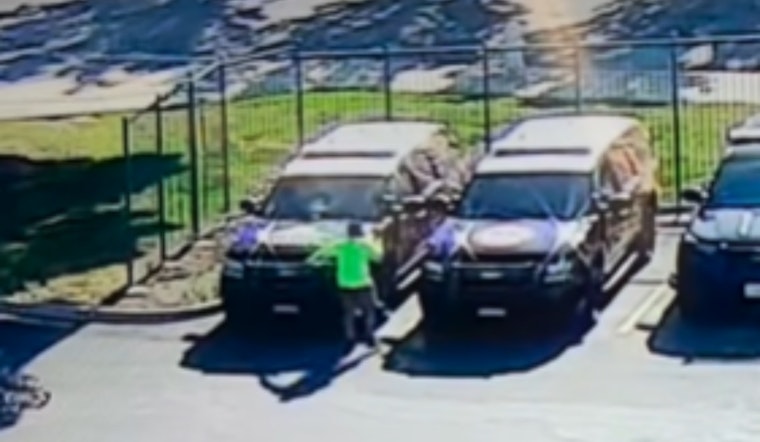 Pittsburg Police Seek Public's Help to Identify Suspect Involved in Vandalism of Patrol Vehicles on Davi Avenue
