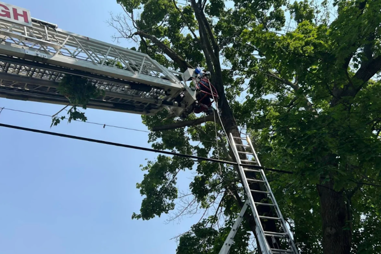 Pittsburgh Tree Pruner Rescued After Dangling Upside Down 30 Feet High in Bloomfield