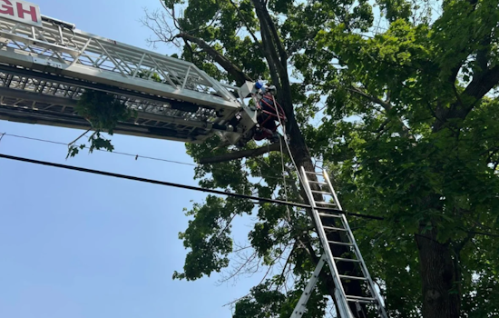 Pittsburgh Tree Pruner Rescued After Dangling Upside Down 30 Feet High in Bloomfield