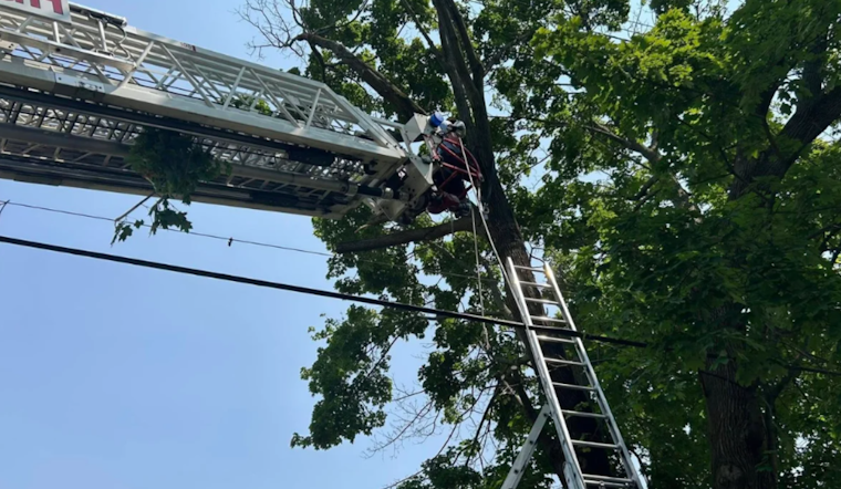 Pittsburgh Tree Pruner Rescued After Dangling Upside Down 30 Feet High in Bloomfield