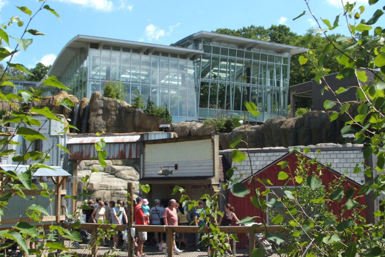 Pittsburgh Zoo & Aquarium Set to Expand with $10 Million Anonymous Donation for New Giraffe Barn and Exhibition Indonesia