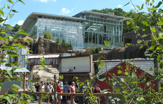 Pittsburgh Zoo & Aquarium Set to Expand with $10 Million Anonymous Donation for New Giraffe Barn and Exhibition Indonesia