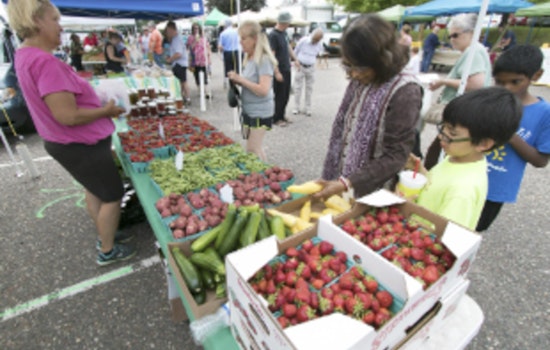 Plymouth Summer Farmers Market Set to Open June 18 with Fresh Local Fare and Community Outreach Opportunities
