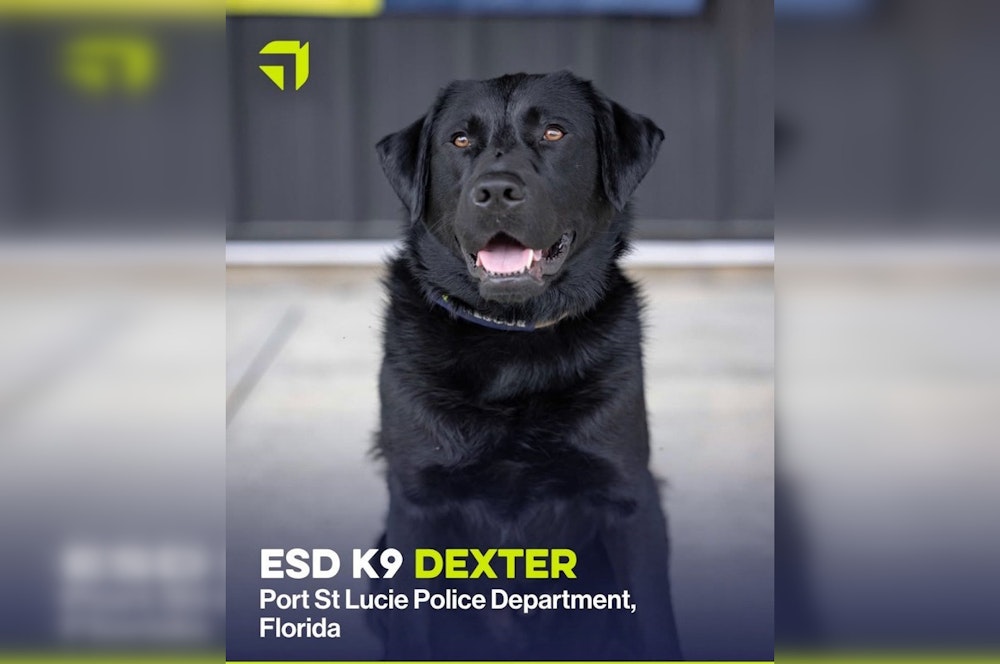 Port St. Lucie Police Department Welcomes Dexter, a Tech-Savvy and Therapeutic K-9 to Their Force