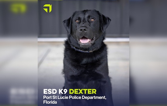 Port St. Lucie Police Department Welcomes Dexter, a Tech-Savvy and Therapeutic K-9 to Their Force