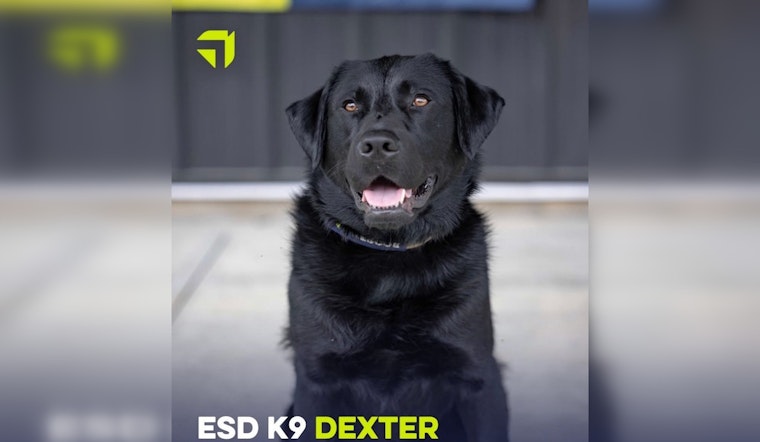 Port St. Lucie Police Department Welcomes Dexter, a Tech-Savvy and Therapeutic K-9 to Their Force