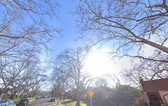 Portland to Bask in Sunshine with 78-Degree Turnaround, Ideal Fourth of July Weather Forecasted