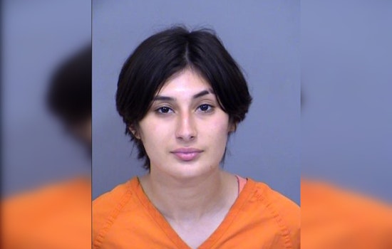 Protester Tyler Hitte Charged with Felony Assault on Peoria Officer During Demonstration