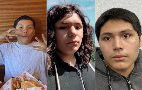Public Urged to Aid in Search for Three Missing Brothers in Portland