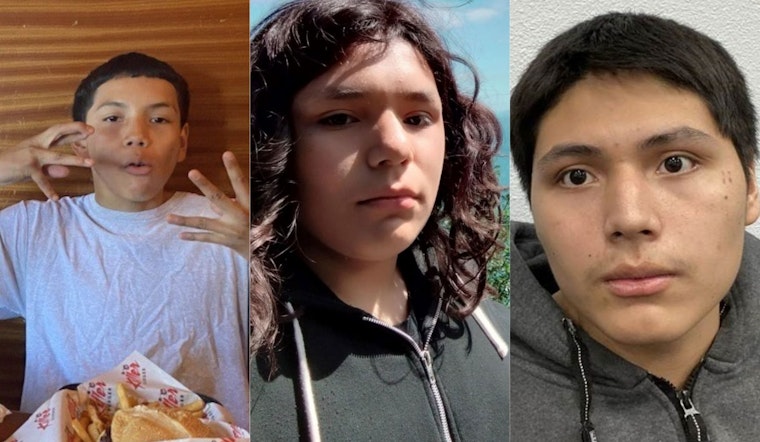Public Urged to Aid in Search for Three Missing Brothers in Portland