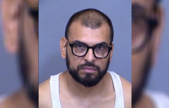Queen Creek Gym Employee Arrested After Dogs Die in Hot Car During Staff Meeting
