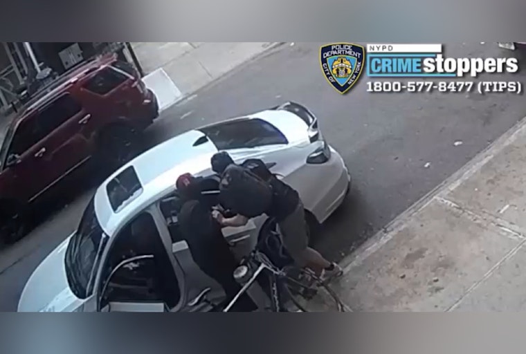 Queens Community on Edge as Robbery Spree Leads to Theft of Valuables and French Bulldogs with NYPD Actively Seeking Suspects