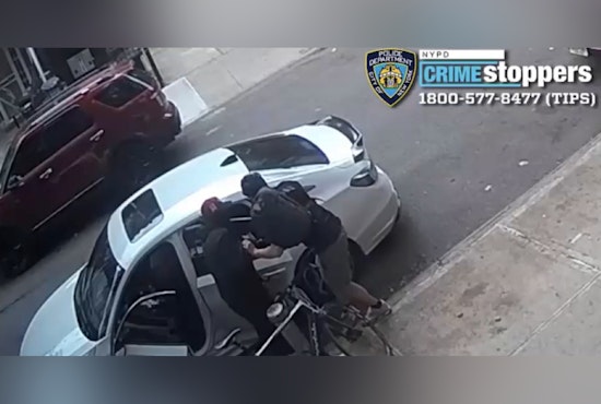 Queens Community on Edge as Robbery Spree Leads to Theft of Valuables and French Bulldogs with NYPD Actively Seeking Suspects