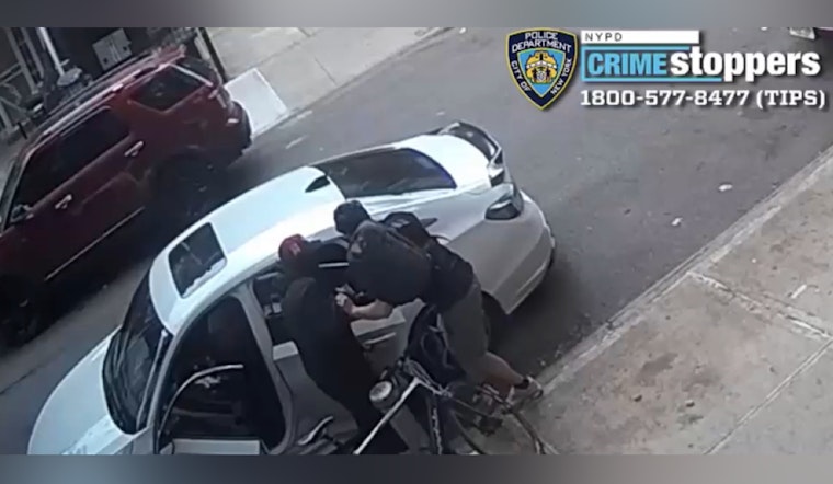 Queens Community on Edge as Robbery Spree Leads to Theft of Valuables and French Bulldogs with NYPD Actively Seeking Suspects