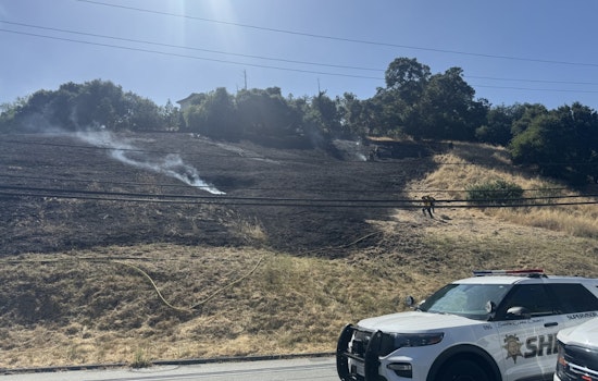 Quick Action by Santa Clara County Firefighters Halts Wildfire in Los Altos Hills, Averts Structural Damage