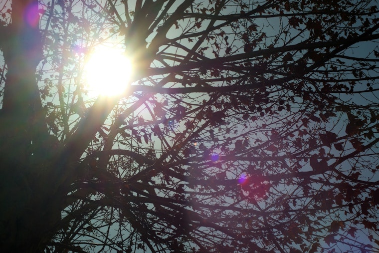 Raleigh on High Alert for Extreme Heat, NWS Urges Caution Amid Severe Weather Risks
