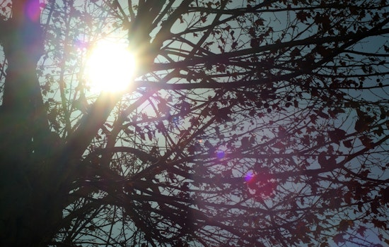 Raleigh on High Alert for Extreme Heat, NWS Urges Caution Amid Severe Weather Risks
