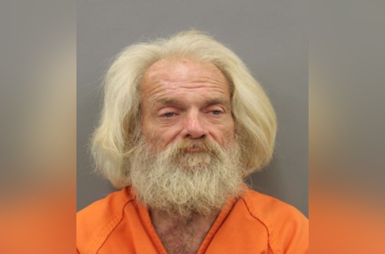 Reagan Cannon Arrested, Charged with Burglary of Motor Vehicles in Harris County