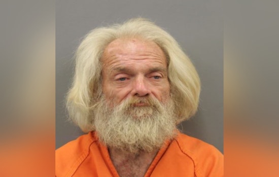 Reagan Cannon Arrested, Charged with Burglary of Motor Vehicles in Harris County