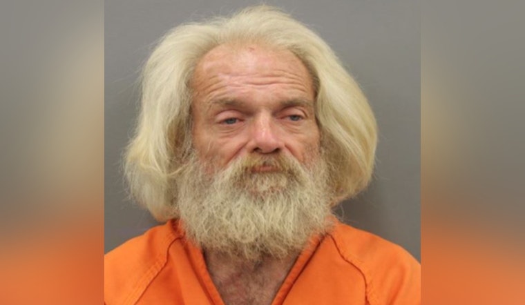 Reagan Cannon Arrested, Charged with Burglary of Motor Vehicles in Harris County
