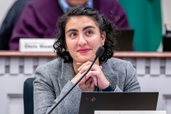 Rep. Darya Farivar Advocates for Iranian Community in Washington Amid Middle East Crisis