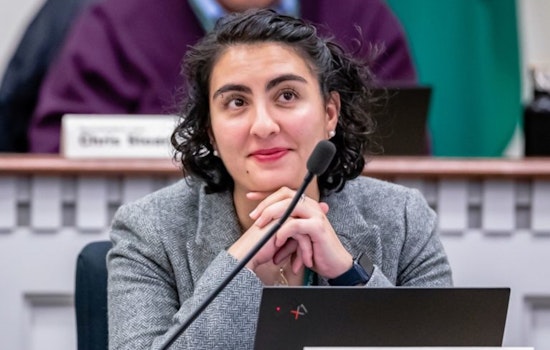 Rep. Darya Farivar Advocates for Iranian Community in Washington Amid Middle East Crisis