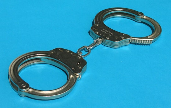 Rockford Woman Sentenced to 32 Months for Illegal Firearm Straw Purchases
