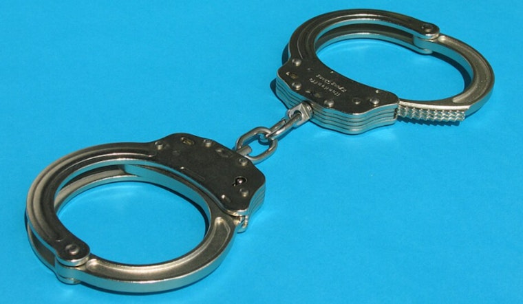 Rockford Woman Sentenced to 32 Months for Illegal Firearm Straw Purchases