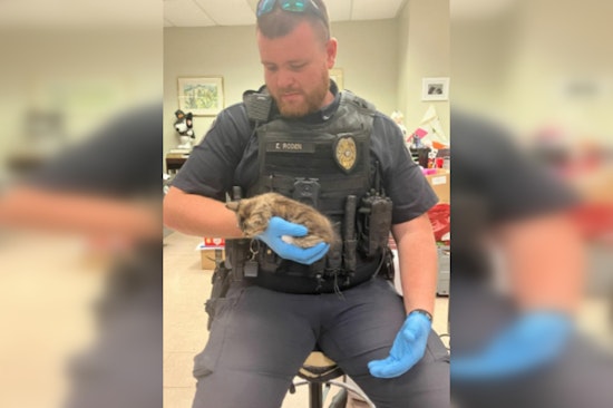 Rome Police Officer Heroically Saves Kitten and Offers it a 'Furever' Home