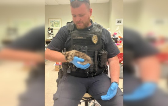 Rome Police Officer Heroically Saves Kitten and Offers it a 'Furever' Home