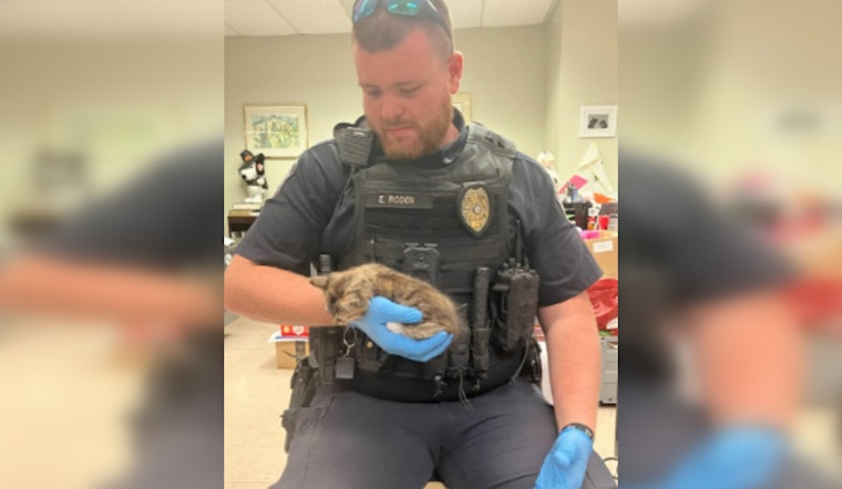 Rome Police Officer Heroically Saves Kitten and Offers it a 'Furever' Home