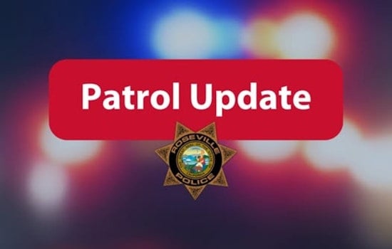 Roseville Car Dealership Staff Thwart Identity Theft, Police Find Stolen Goods and Drugs in Getaway Car