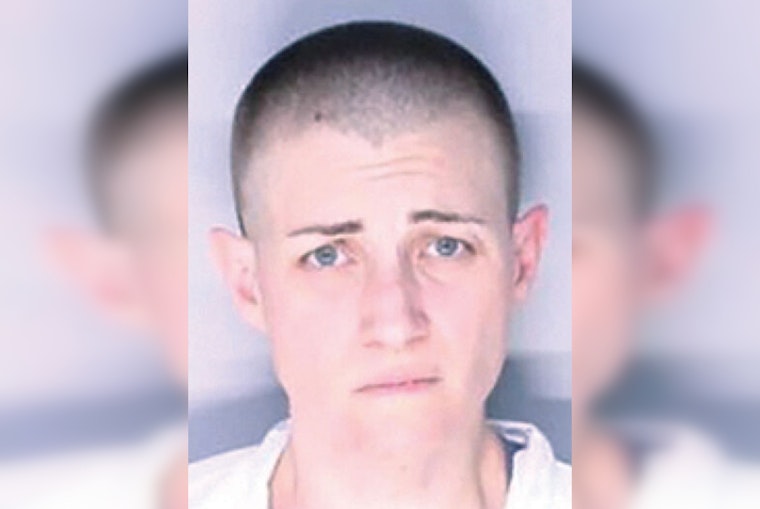 Royal Oak Woman Charged with First-Degree Murder in Mother’s Death