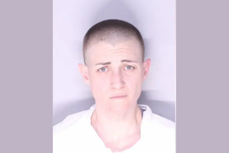 Royal Oak Woman Charged with First-Degree Murder in Mother's Death Following Mental Health Crisis Call