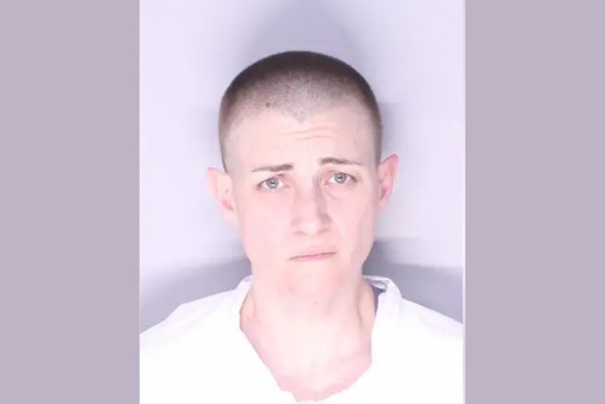 Royal Oak Woman Charged with First-Degree Murder in Mother's Death Following Mental Health Crisis Call