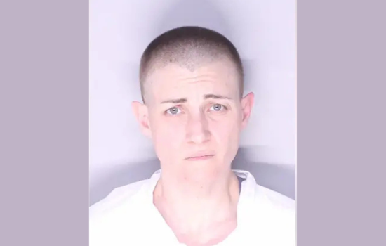 Royal Oak Woman Charged with First-Degree Murder in Mother's Death Following Mental Health Crisis Call
