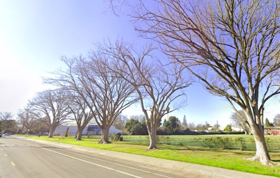 Sacramento Braces for Heat Wave as Highs of 100 Expected and Residents Urged to Take Precautions
