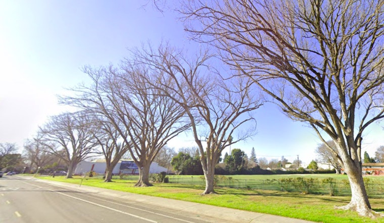 Sacramento Braces for Heat Wave as Highs of 100 Expected and Residents Urged to Take Precautions