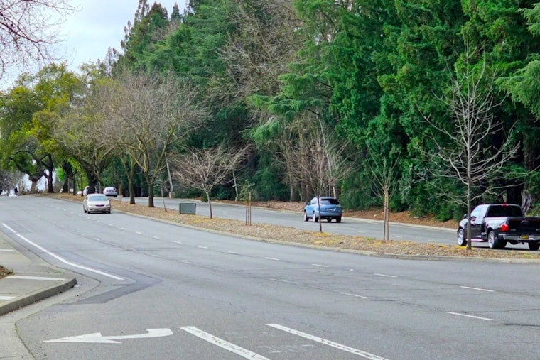 Sacramento Seeks Public Input on Howe Avenue Revamp for Safer, More Accessible Transit