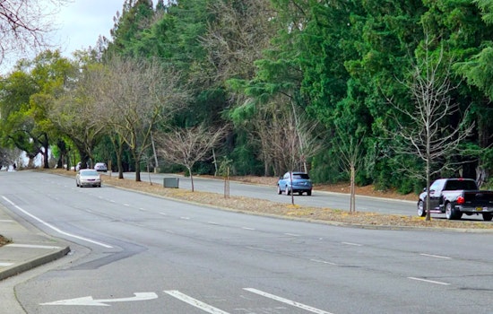 Sacramento Seeks Public Input on Howe Avenue Revamp for Safer, More Accessible Transit