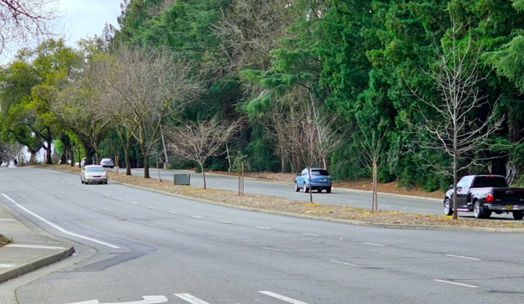 Sacramento Seeks Public Input on Howe Avenue Revamp for Safer, More Accessible Transit