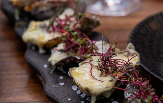 Sailor's Choice Anchors in Hudson Yards with New England Seafood Shack Experience in Manhattan
