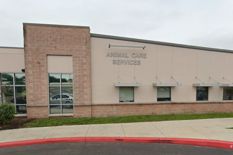 San Antonio Animal Care Services Offers Fee-Waived Pet Adoptions Through June 8